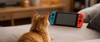 лучшие игры про котов