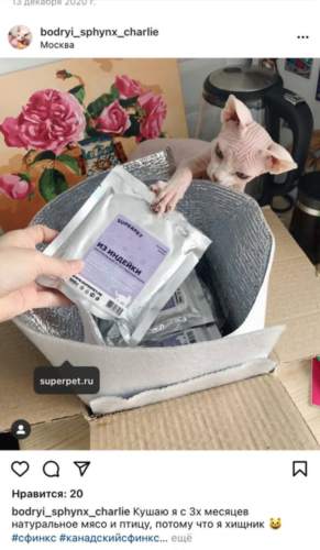 Superpet отзывы